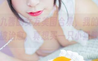 翻看猫九酱的女友美图合集,我的心情瞬间被治愈,真想买一只小猫咪!